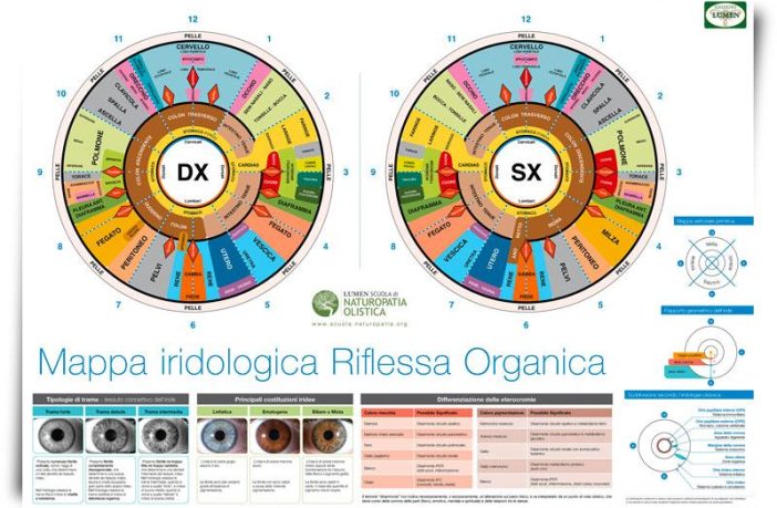 L’approccio della Naturopatia Iridologica alla diagnosi