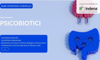 Psicobiotici: i batteri intestinali che influenzano il tuo umore Psicobiotici: i batteri intestinali che influenzano il tuo umore