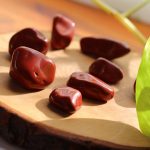 Medicina Gemmoterapica: la forza vitale delle gemme vegetali