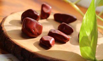 Medicina Gemmoterapica: la forza vitale delle gemme vegetali