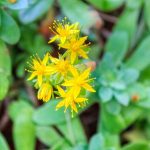 Respirazione olotropica: un viaggio interiore attraverso il respiro