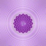 Il significato dei 7 Chakra e il loro legame con gli organi fisici