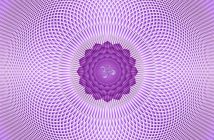 Il significato dei 7 Chakra e il loro legame con gli organi fisici