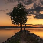 Come la solitudine prolungata impatta la salute fisica e mentale