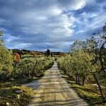 La cristalloterapia: come funzionano le vibrazioni delle pietre