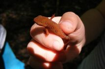 EFT Tapping: la tecnica per liberare ansia e blocchi emotivi