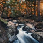 La luce solare: quando e come prenderla per massimizzare i benefici