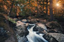 La luce solare: quando e come prenderla per massimizzare i benefici