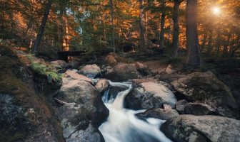 La luce solare: quando e come prenderla per massimizzare i benefici