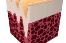 Il ruolo del collagene idrolizzato per pelle, unghie e articolazioni