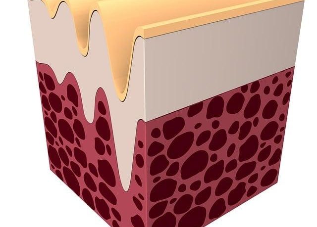 Il ruolo del collagene idrolizzato per pelle, unghie e articolazioni