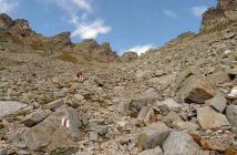 La gestione dello zucchero nel sangue e l’impatto sull’invecchiamento