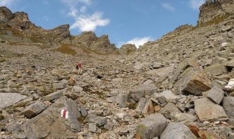 La gestione dello zucchero nel sangue e l’impatto sull’invecchiamento