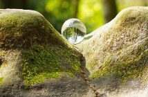 Il grounding o earthing: connettersi alla Terra per ridurre l’infiammazione