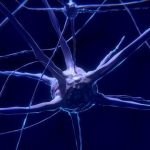 La Terapia Neurale: curare il dolore agendo sul sistema nervoso