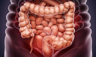 Il sistema glinfatico: come il cervello si ripulisce mentre dormi