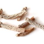 Le piante adattogene: Ginseng, Ashwagandha e la risposta allo stress