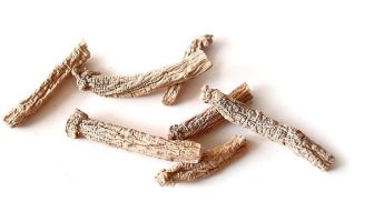 Le piante adattogene: Ginseng, Ashwagandha e la risposta allo stress