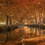 La memoria dell’acqua: le teorie e le evidenze scientifiche