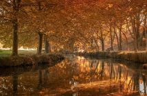 La memoria dell’acqua: le teorie e le evidenze scientifiche