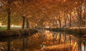 La memoria dell’acqua: le teorie e le evidenze scientifiche