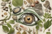 Dermatite atopica: rimedi naturali e consigli alimentari specifici